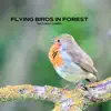 Sleepy Times, Deep Sleep Music Collective & Deep Sleep Relaxation - Flying Birds in Forest - Natural Lands